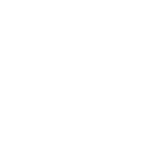 community and connection